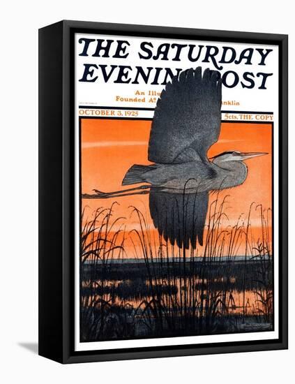 "Marsh Bird," Saturday Evening Post Cover, October 3, 1925-Paul Bransom-Framed Premier Image Canvas