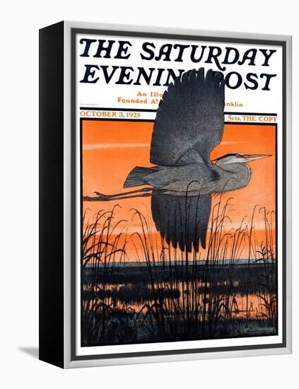 "Marsh Bird," Saturday Evening Post Cover, October 3, 1925-Paul Bransom-Framed Premier Image Canvas