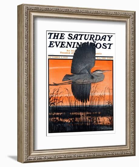 "Marsh Bird," Saturday Evening Post Cover, October 3, 1925-Paul Bransom-Framed Giclee Print