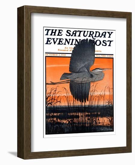 "Marsh Bird," Saturday Evening Post Cover, October 3, 1925-Paul Bransom-Framed Giclee Print