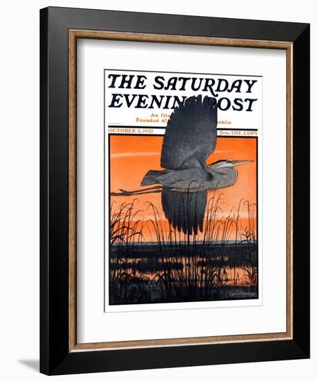 "Marsh Bird," Saturday Evening Post Cover, October 3, 1925-Paul Bransom-Framed Giclee Print