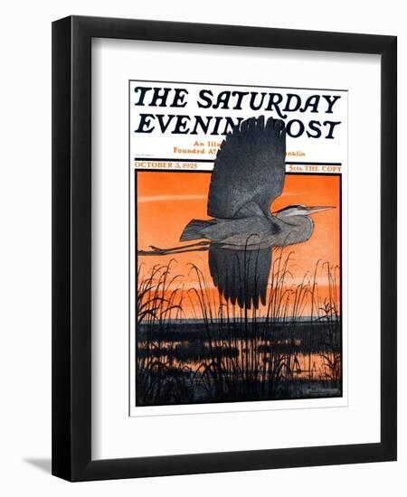 "Marsh Bird," Saturday Evening Post Cover, October 3, 1925-Paul Bransom-Framed Giclee Print