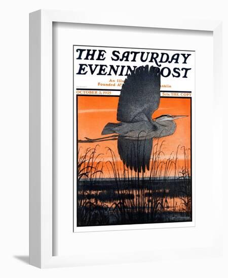 "Marsh Bird," Saturday Evening Post Cover, October 3, 1925-Paul Bransom-Framed Giclee Print