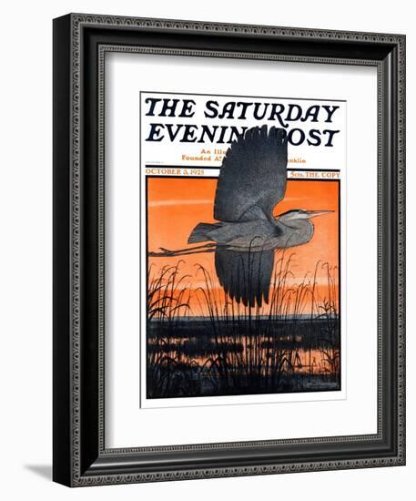 "Marsh Bird," Saturday Evening Post Cover, October 3, 1925-Paul Bransom-Framed Giclee Print