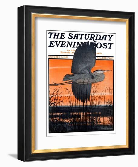 "Marsh Bird," Saturday Evening Post Cover, October 3, 1925-Paul Bransom-Framed Giclee Print