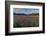 Marsh Gladioli (Gladiolus Palustris) in the Background Jochberg-Bernd Rommelt-Framed Photographic Print