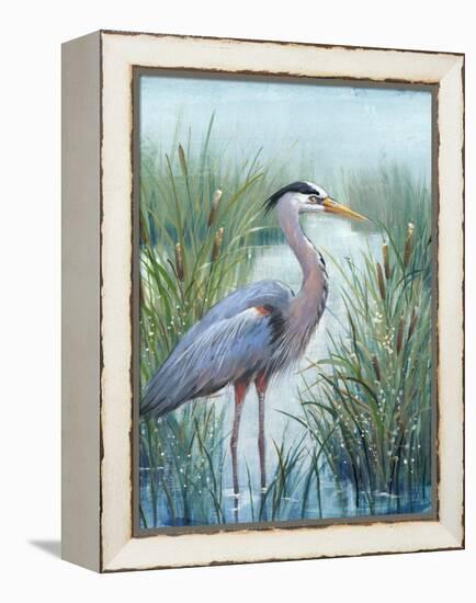 Marsh Heron I-Tim O'toole-Framed Stretched Canvas