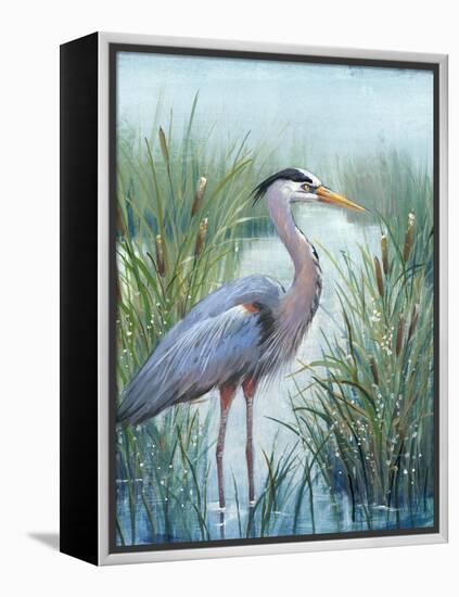 Marsh Heron I-Tim O'toole-Framed Stretched Canvas