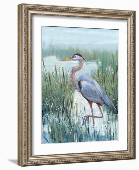 Marsh Heron II-Tim O'toole-Framed Premium Giclee Print