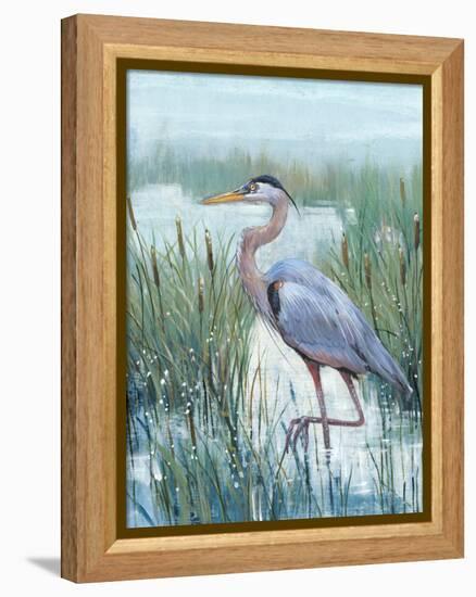 Marsh Heron II-Tim O'toole-Framed Stretched Canvas