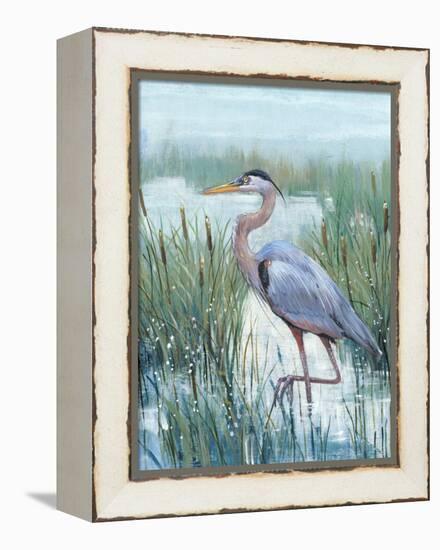 Marsh Heron II-Tim O'toole-Framed Stretched Canvas