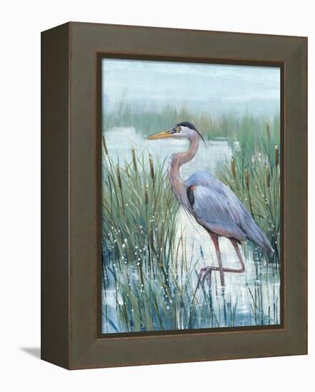 Marsh Heron II-Tim O'toole-Framed Stretched Canvas