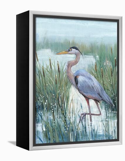 Marsh Heron II-Tim O'toole-Framed Stretched Canvas