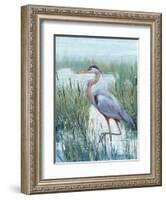 Marsh Heron II-Tim O'toole-Framed Art Print