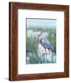 Marsh Heron II-Tim O'toole-Framed Art Print