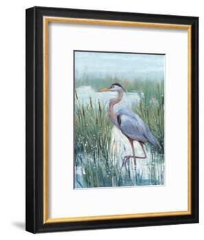 Marsh Heron II-Tim O'toole-Framed Art Print