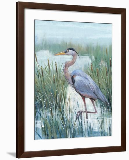 Marsh Heron II-Tim O'toole-Framed Art Print