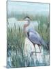 Marsh Heron II-Tim O'toole-Mounted Art Print