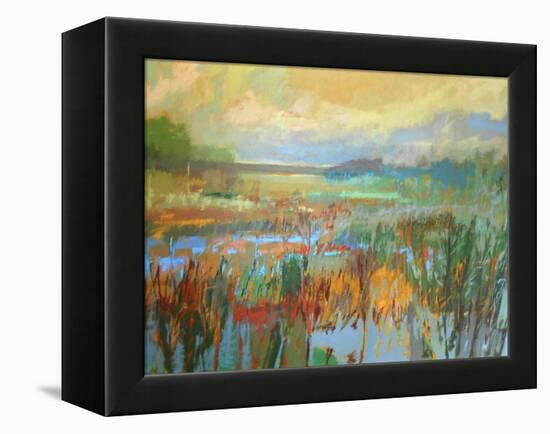 Marsh in May-Jane Schmidt-Framed Stretched Canvas