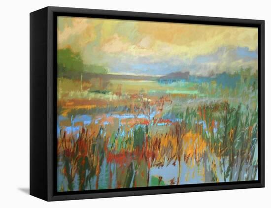 Marsh in May-Jane Schmidt-Framed Stretched Canvas