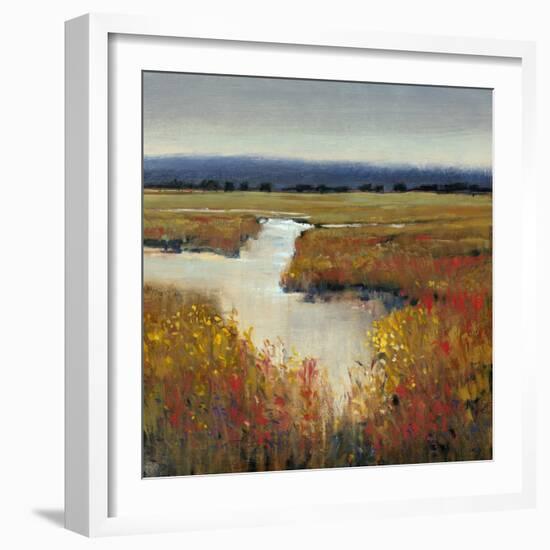 Marsh Land I-Tim O'toole-Framed Art Print