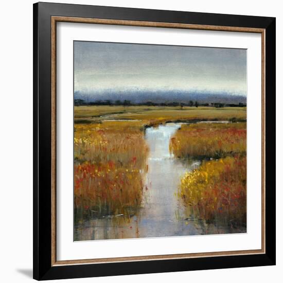 Marsh Land II-Tim O'toole-Framed Art Print