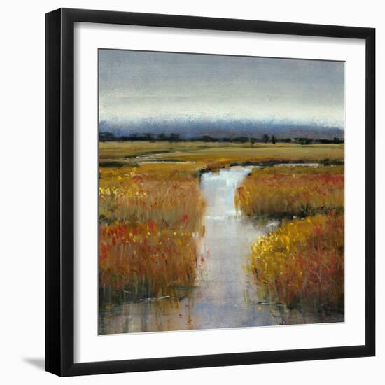 Marsh Land II-Tim O'toole-Framed Art Print