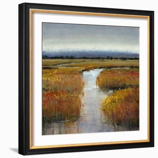 Marsh Land II-Tim O'toole-Framed Art Print