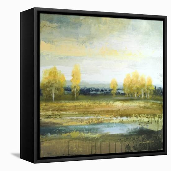 Marsh Lands II-Michael Marcon-Framed Stretched Canvas