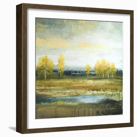 Marsh Lands II-Michael Marcon-Framed Art Print