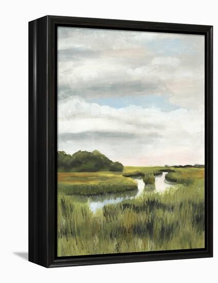 Marsh Landscapes I-Naomi McCavitt-Framed Stretched Canvas
