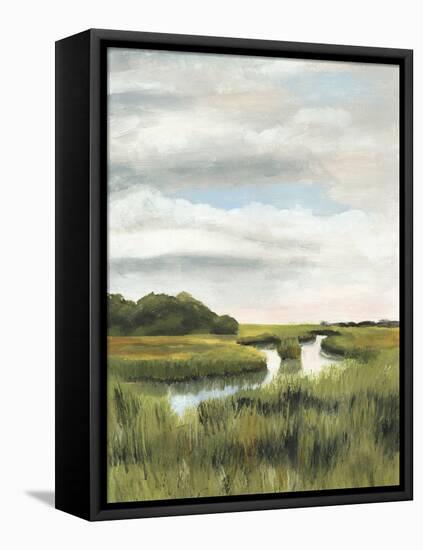 Marsh Landscapes I-Naomi McCavitt-Framed Stretched Canvas