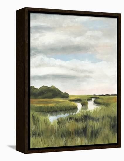 Marsh Landscapes I-Naomi McCavitt-Framed Stretched Canvas