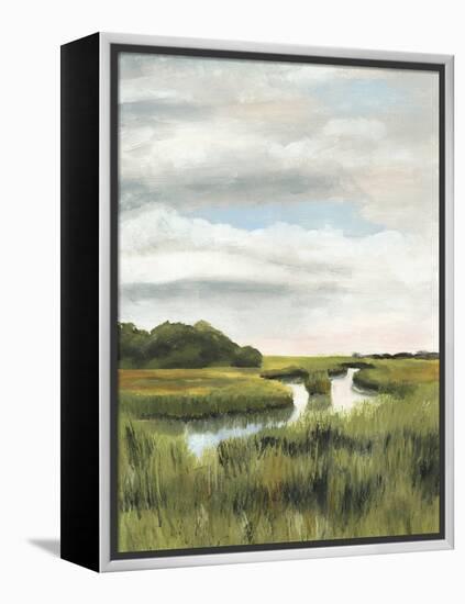 Marsh Landscapes I-Naomi McCavitt-Framed Stretched Canvas