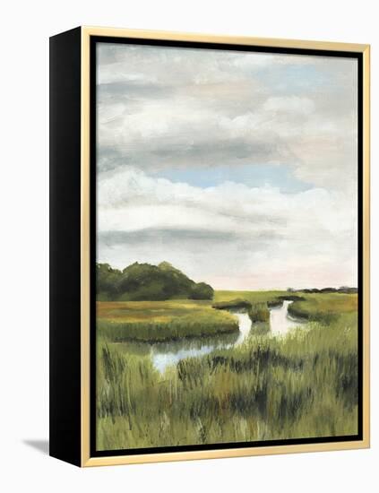 Marsh Landscapes I-Naomi McCavitt-Framed Stretched Canvas