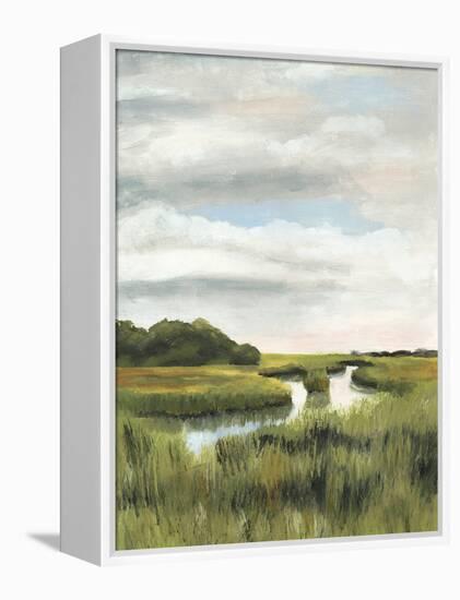 Marsh Landscapes I-Naomi McCavitt-Framed Stretched Canvas