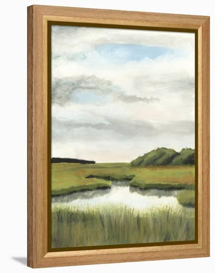 Marsh Landscapes II-Naomi McCavitt-Framed Stretched Canvas