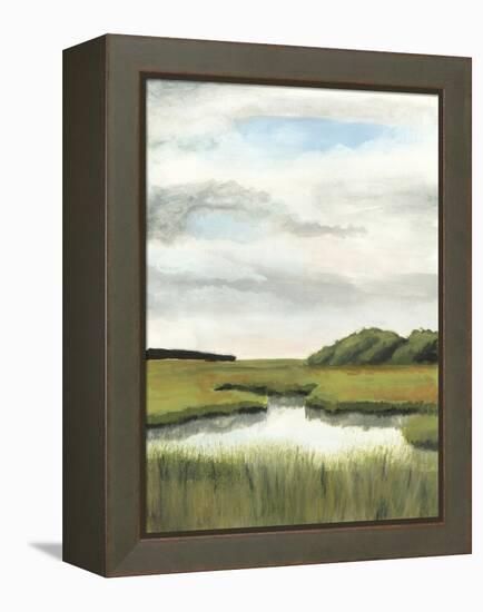 Marsh Landscapes II-Naomi McCavitt-Framed Stretched Canvas