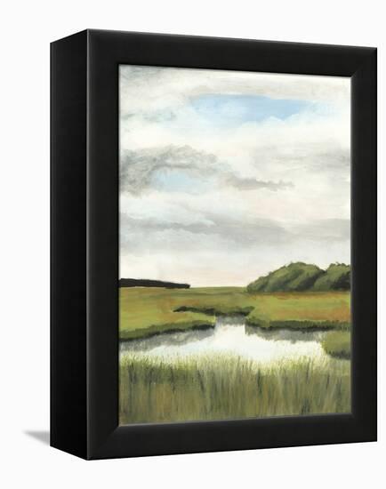 Marsh Landscapes II-Naomi McCavitt-Framed Stretched Canvas