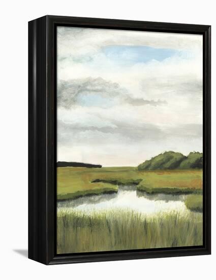 Marsh Landscapes II-Naomi McCavitt-Framed Stretched Canvas