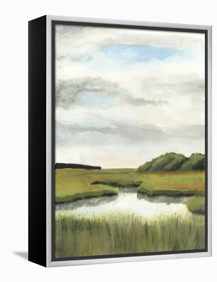 Marsh Landscapes II-Naomi McCavitt-Framed Stretched Canvas