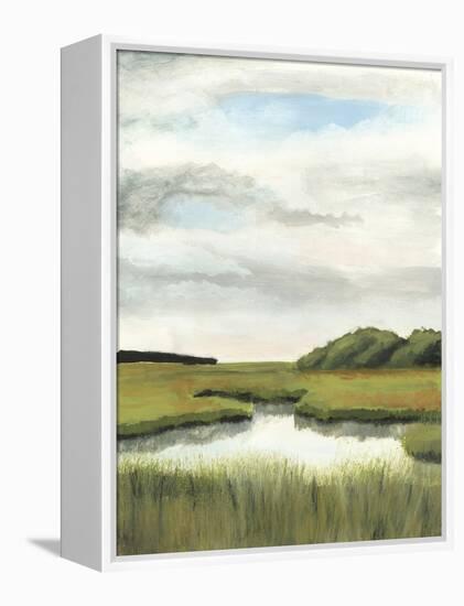 Marsh Landscapes II-Naomi McCavitt-Framed Stretched Canvas