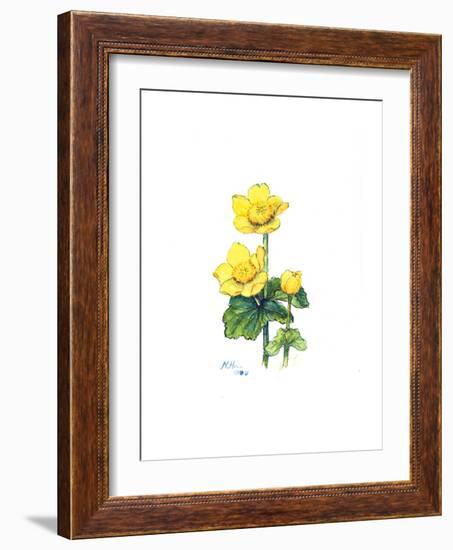 Marsh Marigold, 1998-Nell Hill-Framed Giclee Print