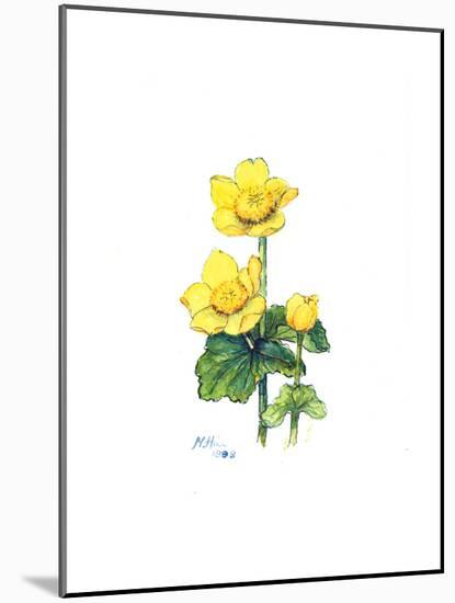 Marsh Marigold, 1998-Nell Hill-Mounted Giclee Print