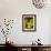 Marsh Marigold (Caltha Palustris)-Adrian Bicker-Framed Photographic Print displayed on a wall