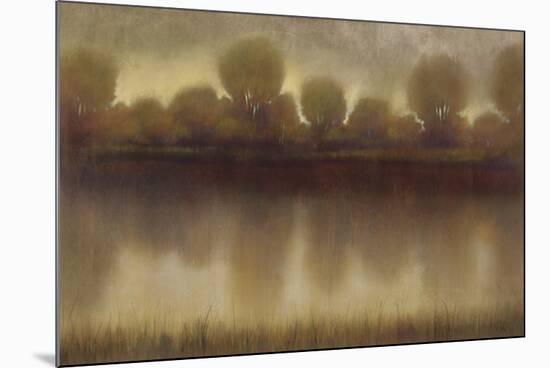 Marsh Of The Warm Sunset-Williams-Mounted Giclee Print