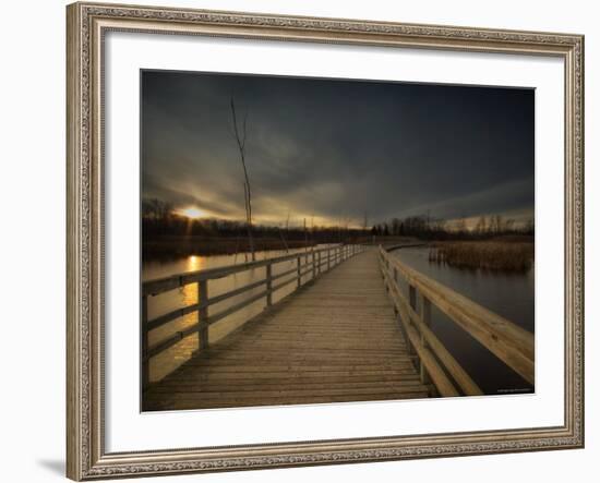 Marsh Path-Irene Suchocki-Framed Photographic Print