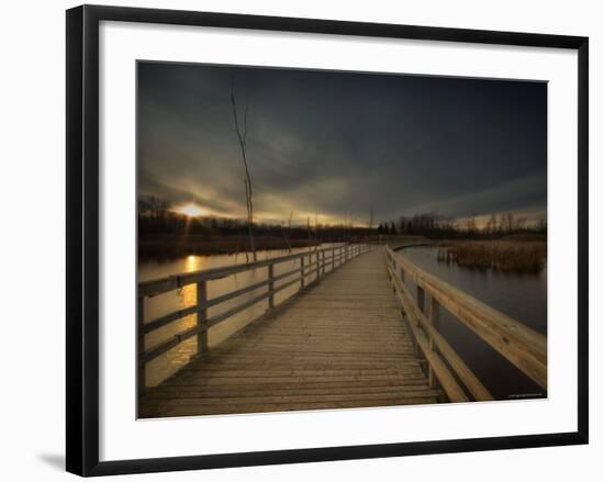 Marsh Path-Irene Suchocki-Framed Photographic Print