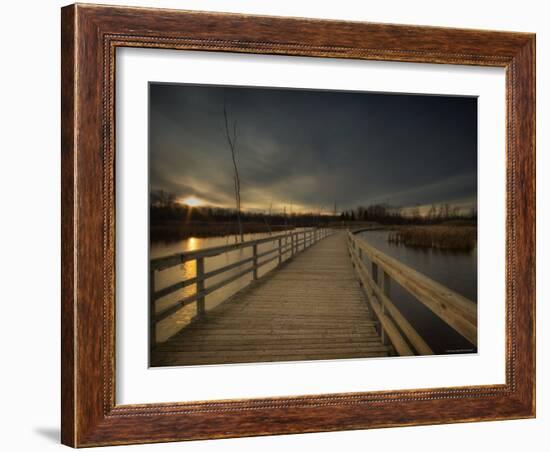 Marsh Path-Irene Suchocki-Framed Photographic Print