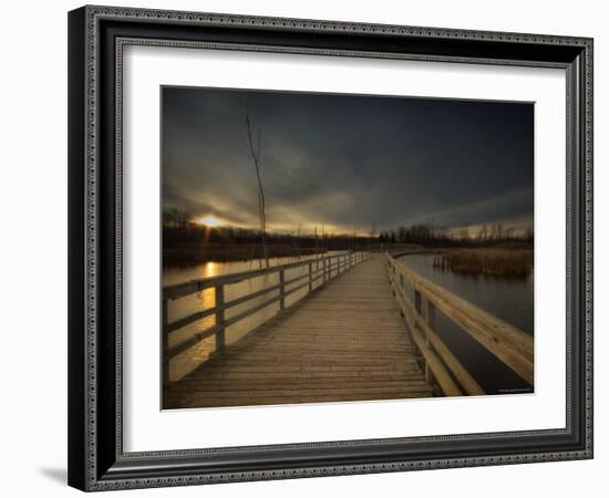 Marsh Path-Irene Suchocki-Framed Photographic Print